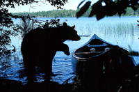 HWB_Slide23_ FS_200.jpg